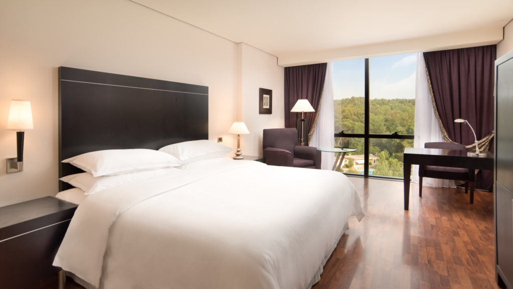 she1439gr-176063-Deluxe Guest Room